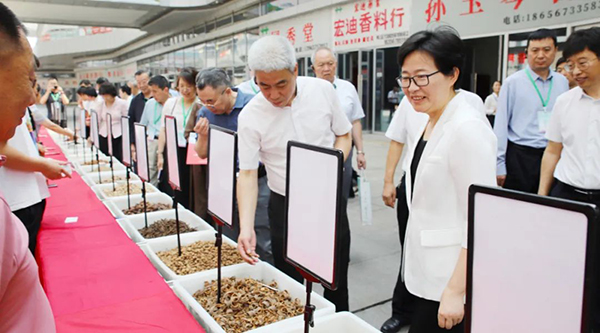 beats365(�й���)Ψһ�ٷ���վ