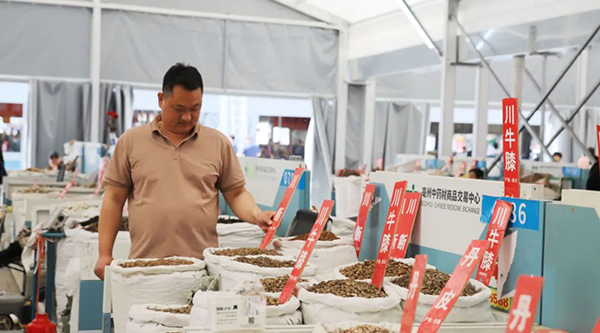 beats365(�й���)Ψһ�ٷ���վ