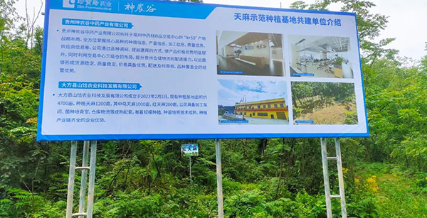 beats365(ÖйúÇø)Ψһ¹Ù·½ÍøÕ¾