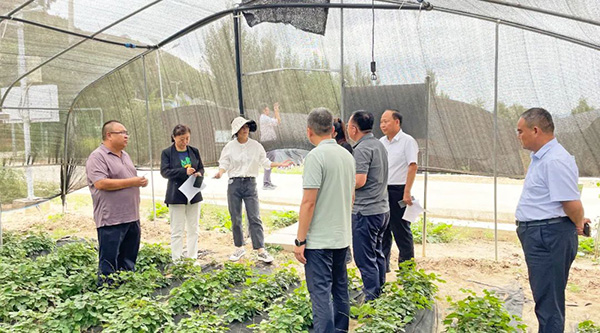 beats365(�й���)Ψһ�ٷ���վ