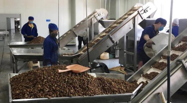 beats365(ÖйúÇø)Ψһ¹Ù·½ÍøÕ¾