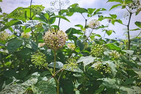 beats365(�й���)Ψһ�ٷ���վ