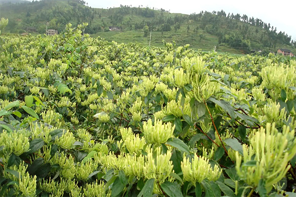 beats365(�й���)Ψһ�ٷ���վ